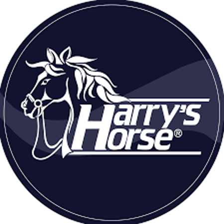 Afbeelding voor categorie Harry's horse